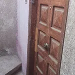 الدقي
